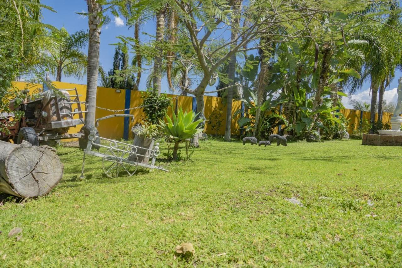 Hotel & Bungalows Las Palmas Villa Corona Екстер'єр фото